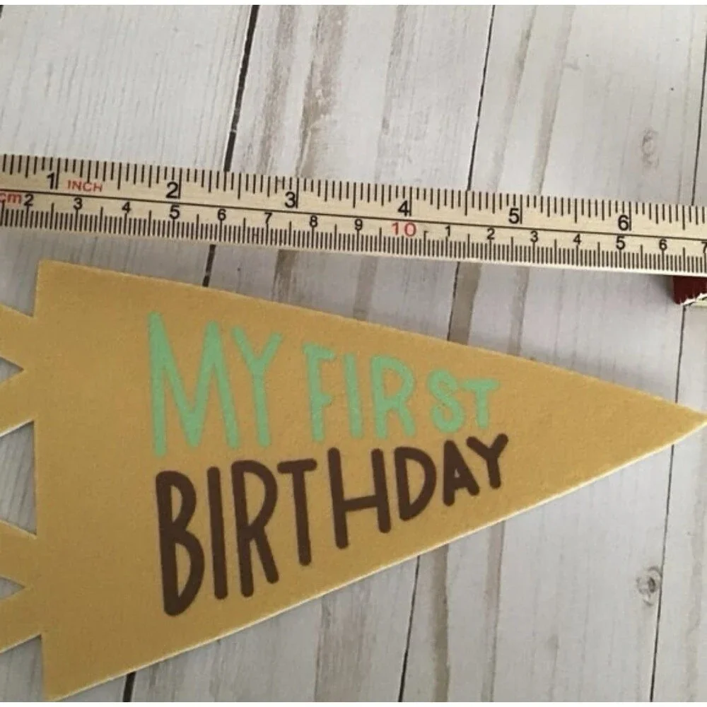 Moon and Stars Paper Milestone Pennant Set 14pc 0-12 Months 1st Birthday